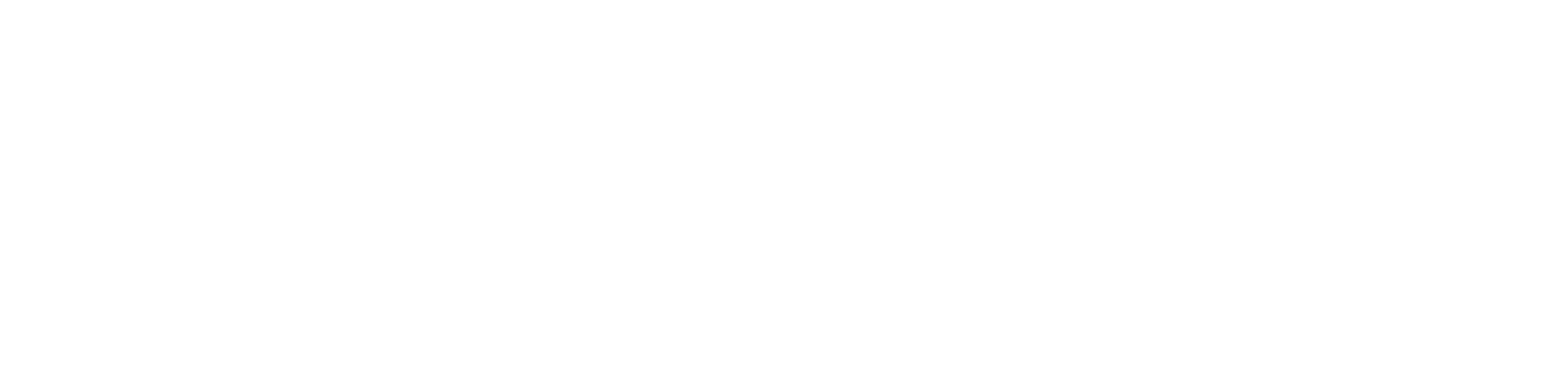 Zenesis Consulting Logo White