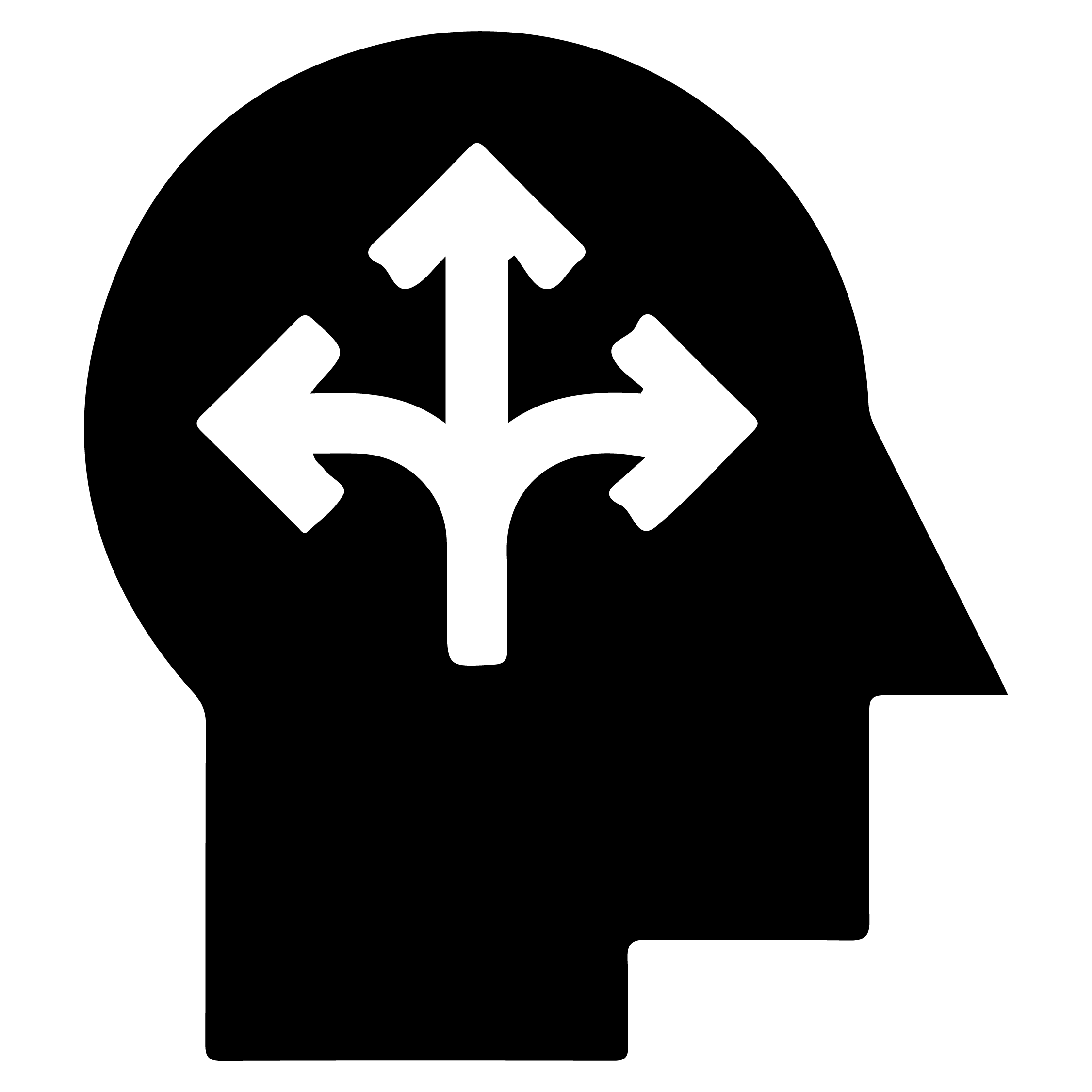 ICONS Governance and