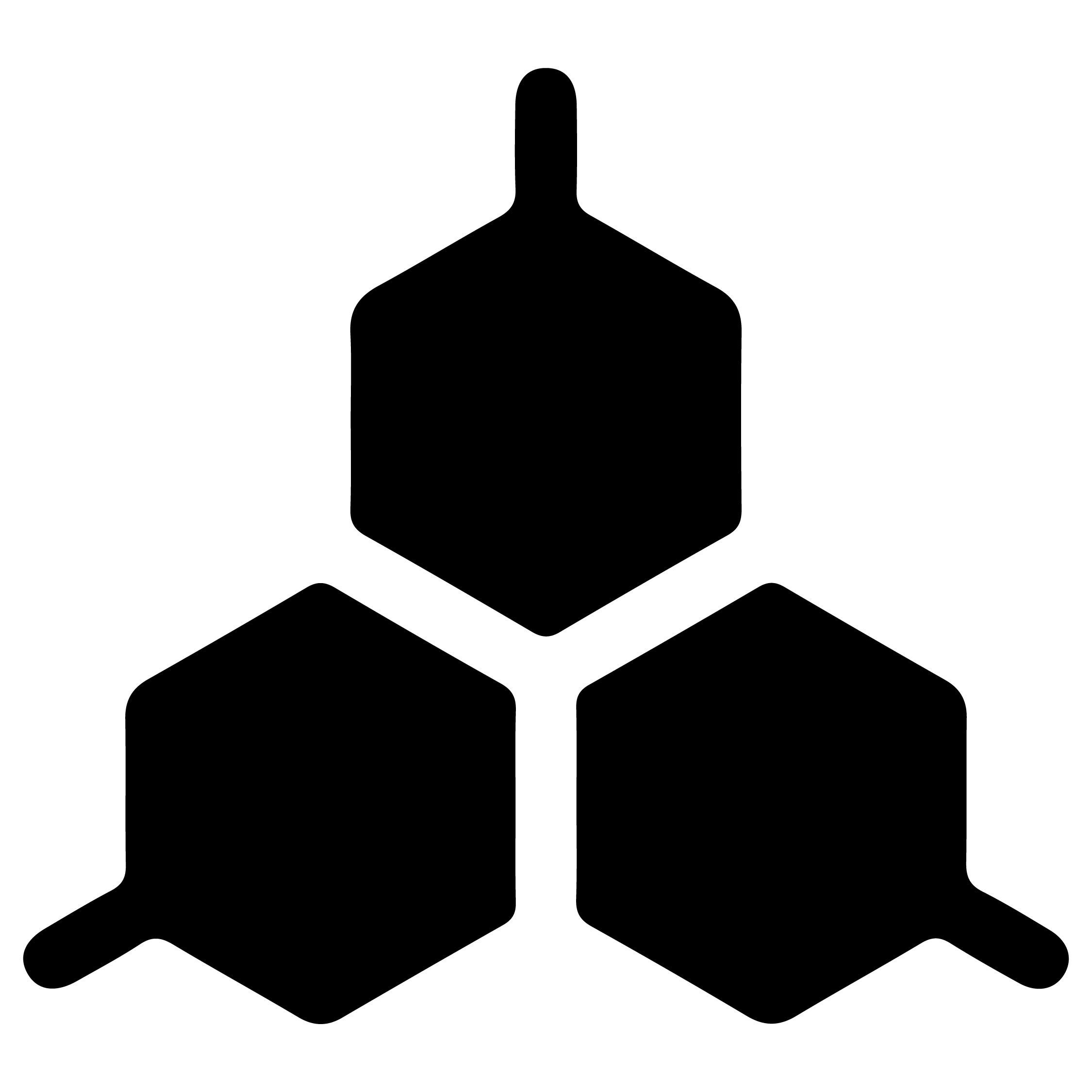 ICONS Organisation